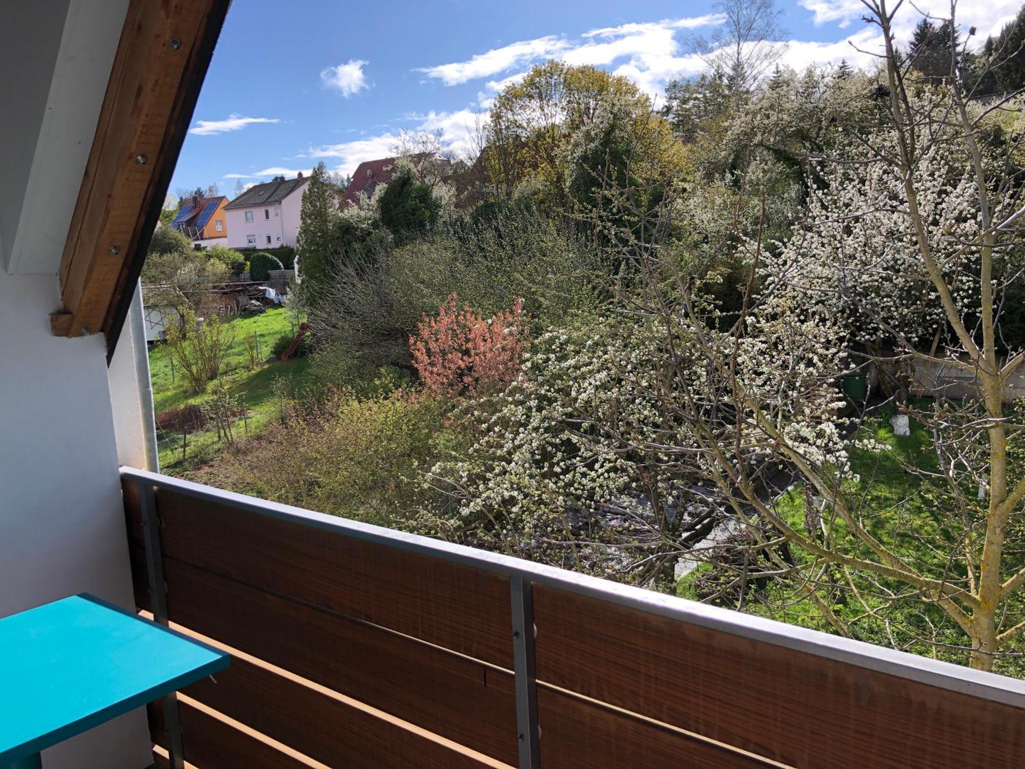 Blaues Zimmer Mit Grossem Balkon, Bad Ist Ein Traum, 50 Schritte Zum Radweg Am Main,Ideal For Short Stay Mainstockheim Exteriér fotografie
